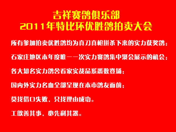 石家庄吉祥俱乐部2011秋特比环优胜鸽拍卖大会11月5日举行高清图片