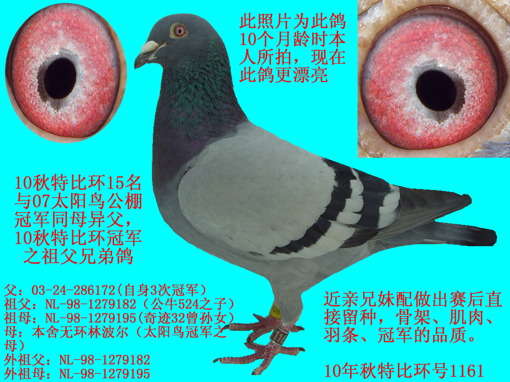 <em>np兄妹</em>肉漫_宠文肉文np兄妹高辣_<em>偷香兄妹禁忌np肉文</em>