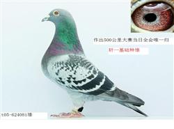 20120311143721.jpg