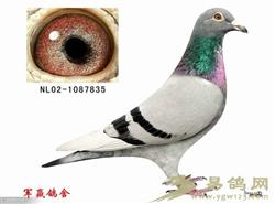 20121103084428.jpg