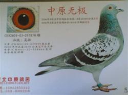 20121123171215.jpg