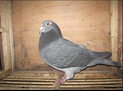 20130511123817.jpg