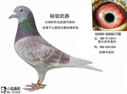 20131106235822.jpg
