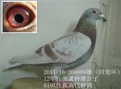20131118203853.jpg