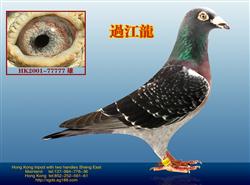 20140216131648.jpg