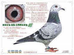 20140301165650.jpg
