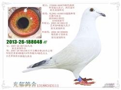 20140305103024.jpg