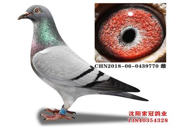 20201031102006.jpg