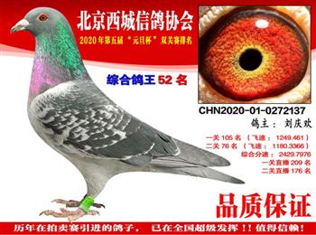 20210905213256.jpg