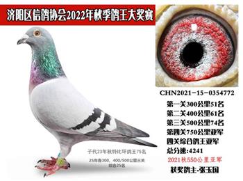 2025괺ǧ܊2022P(gun)Cρ܊D(zhun)׌