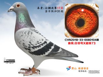 ��ɽ�O������