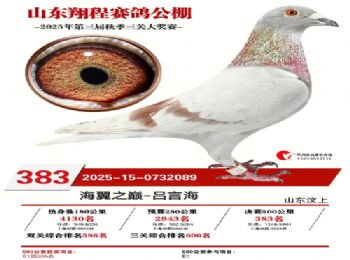 �D(zhu��n)׌����ɿ���