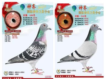 �������u(m��i)ɽ��̫���������ǲ������W�ֲ��������˖|�������ɿ�(j��)��