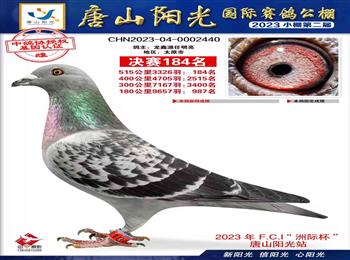 ������������Դղɭ���˹��ɽ������������ɼ���