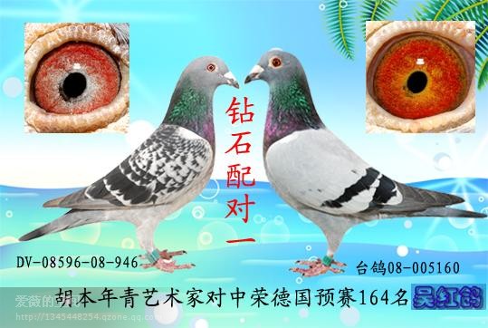 【转让】中荣预赛136名dv-08596-08-946德国原环转让