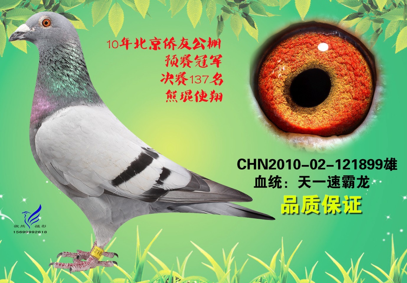 【转让】江苏天一速霸龙冠军今晚截标!