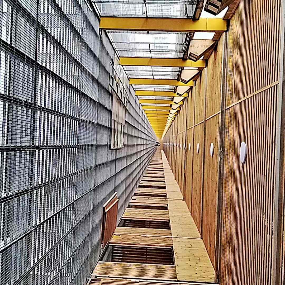 公棚施工厂家承接各种大型赛鸽公棚建设、赛鸽公棚设计、施工-中国信鸽信息网 www.chinaxinge.com
