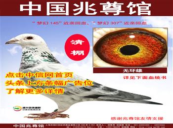 中国兆尊馆独家网络拍卖会,建兴鸽业清棚进行中