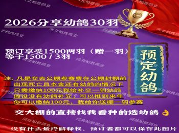 2026���׸�Ԥ���������