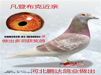 �����������ǲ��˸Ǳ�����ŷ������ں��������ܶ���