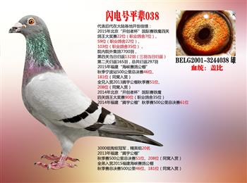 HK��۸����������u/�S�����w�ȡ������x�ϵҠ��͡�ղɭ019