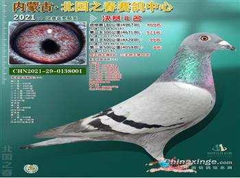 ��ֱ��һ������һ�����ָ룩