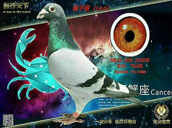 �����ǿգ���Ӯ�Ƹ�����������ʤ��ϲ�á�