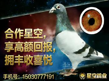 ��������ʤ�ʸ����ɳ��ƻ�